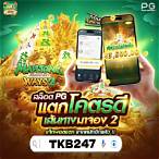 pg slot เว็บตรง วอเลท ฟรี